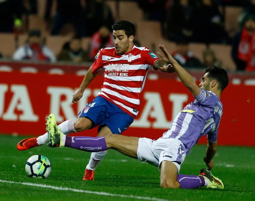 黑龙江队战战兢兢,终结河南队的连胜势头 黑龙江队战战兢兢,终结河南队的连胜势头